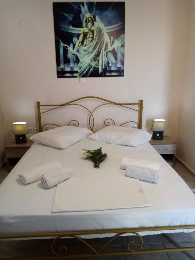 Villa Hellas Afiartis 외부 사진